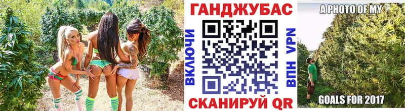 Купить Гатчина Бошки Шишки гибрид
